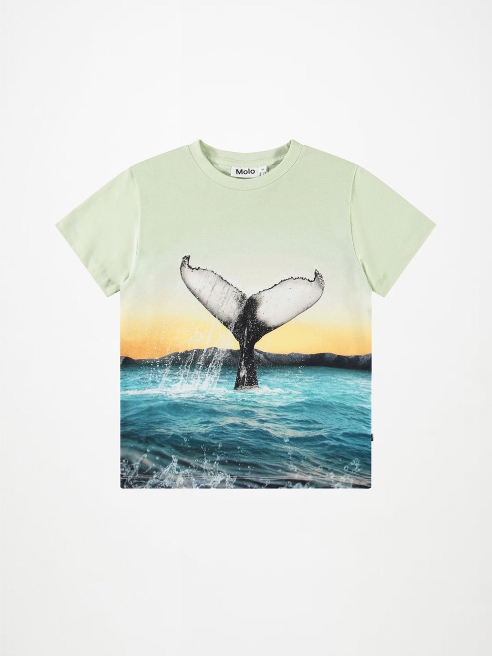 Molo Rame T-Shirt Boys Size 5 Whale Tale Graphic Print Green Organic Cotton